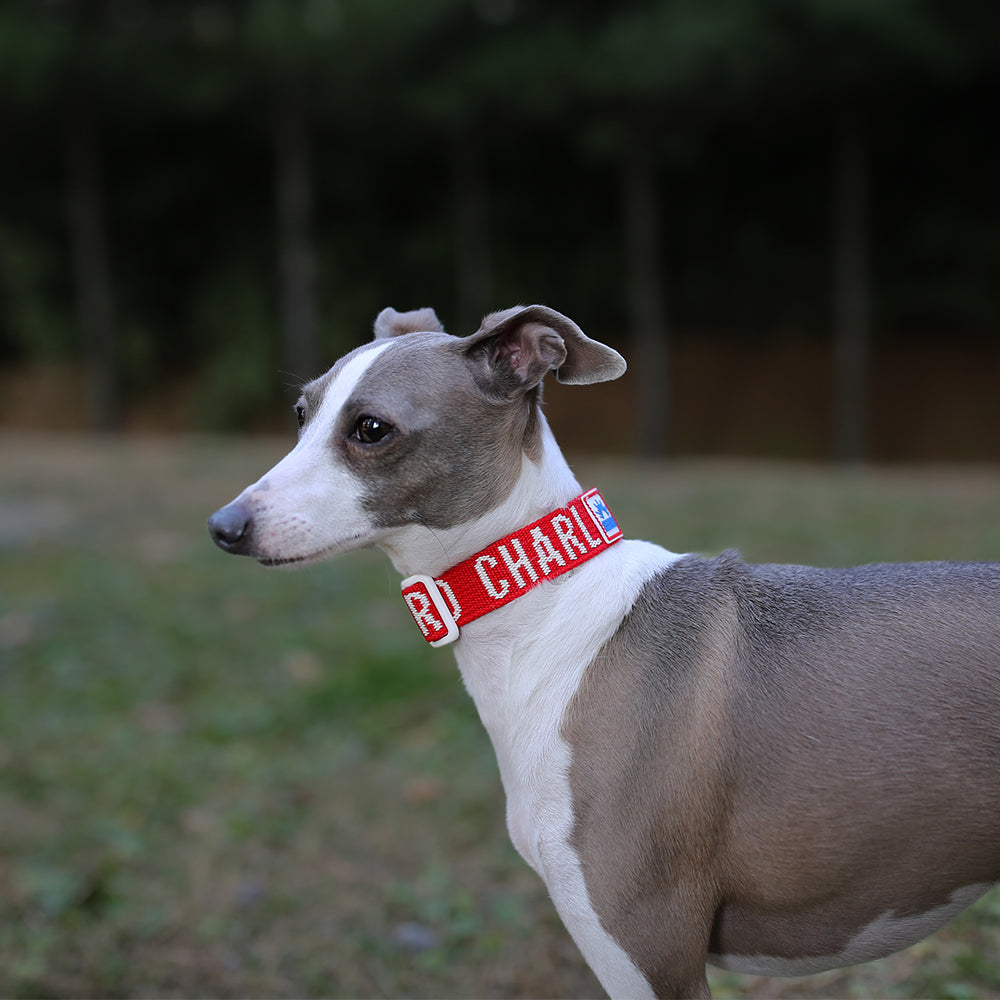 Charlie's Backyard Trip Collar (Red)