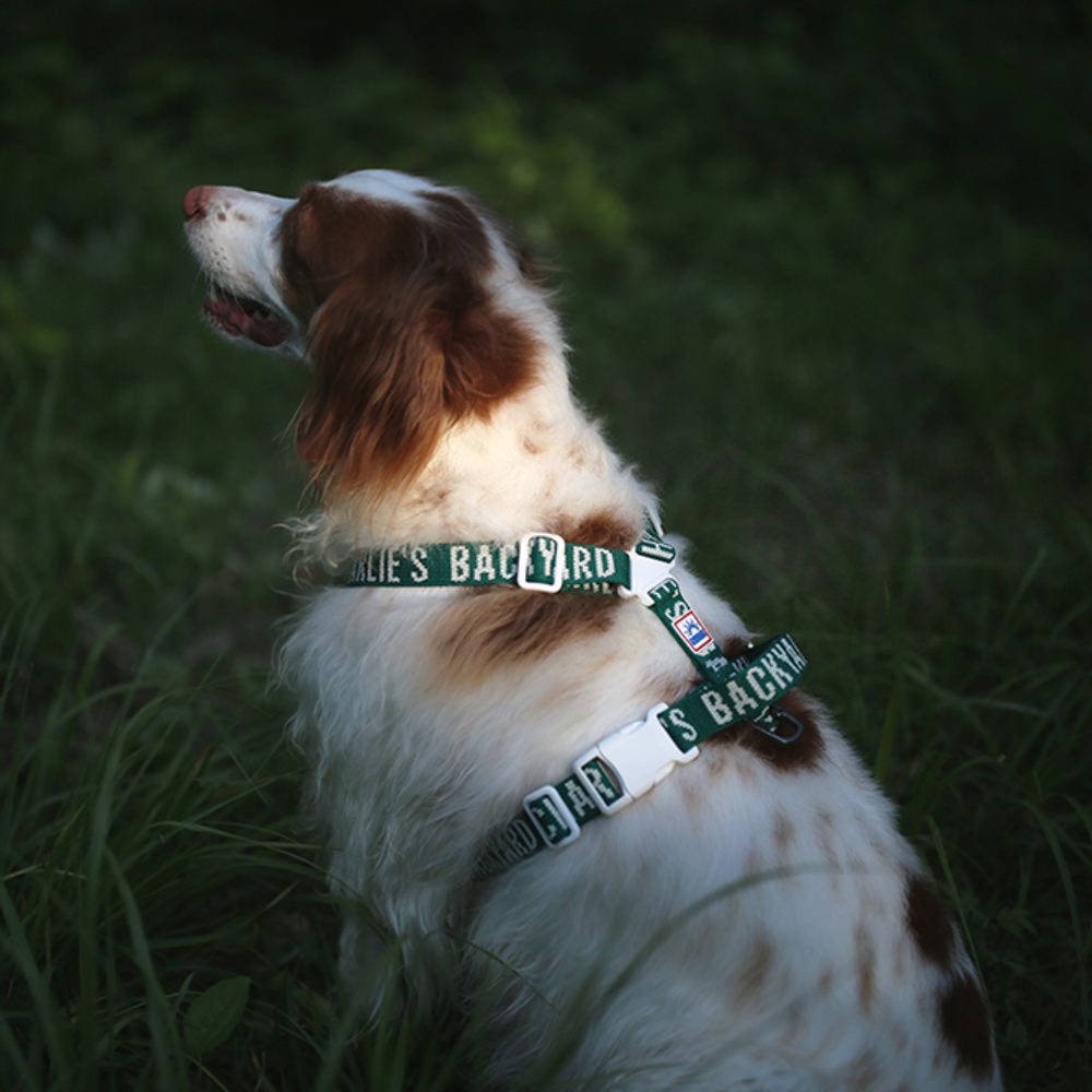 Charlie's Backyard Trip Harness (Green)