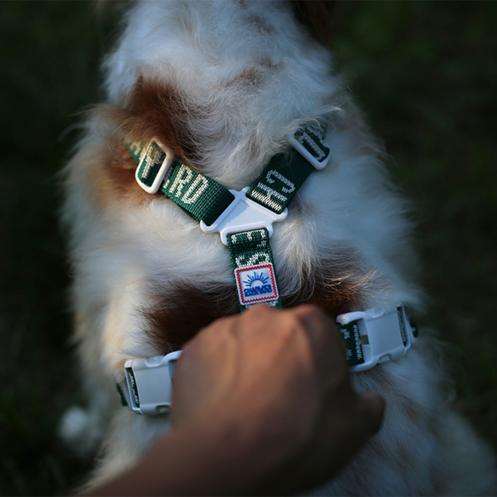 Charlie's Backyard Trip Harness (Green)