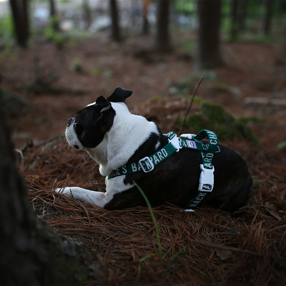 Charlie's Backyard Trip Harness (Green)