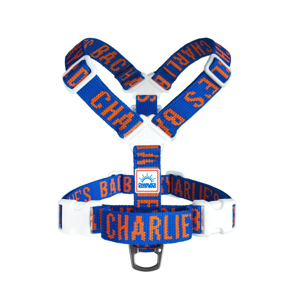 Charlie's Backyard Trip Harness (Blue)