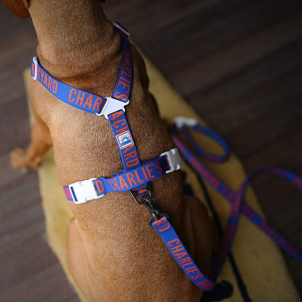 Charlie's Backyard Trip Harness (Blue)