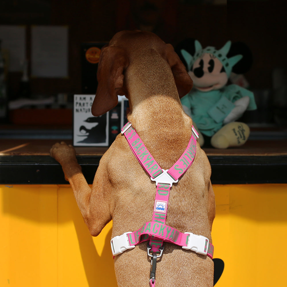 Charlie's Backyard Trip Harness (Pink)