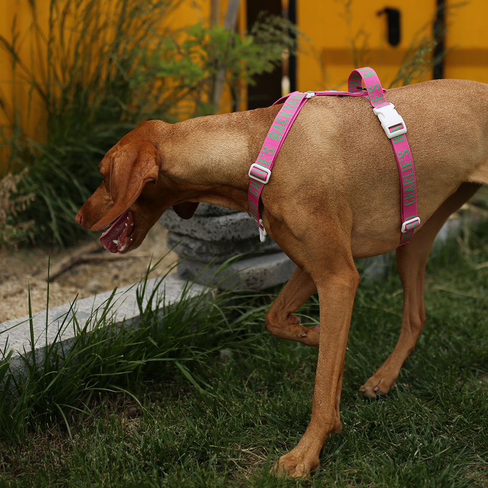 Charlie's Backyard Trip Harness (Pink)