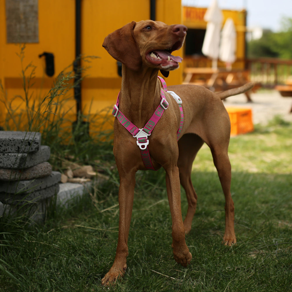 Charlie's Backyard Trip Harness (Pink)