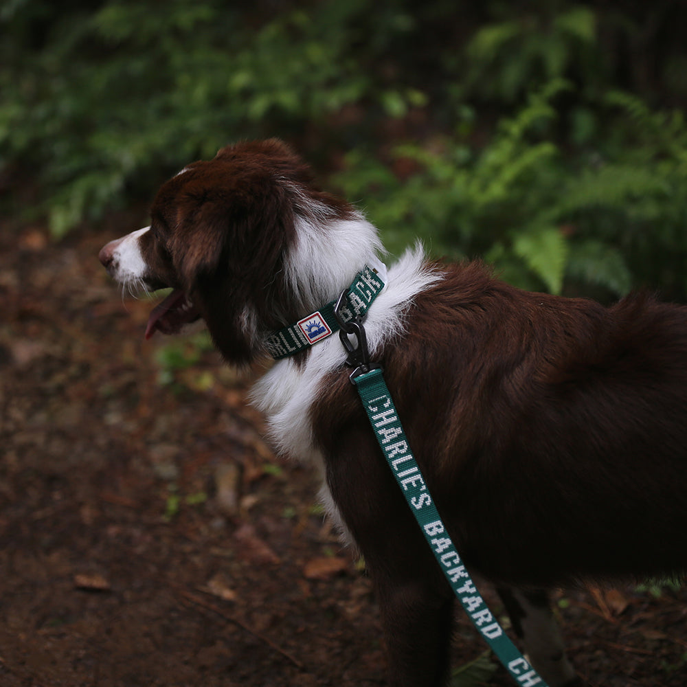 Charlie's Backyard Trip Leash