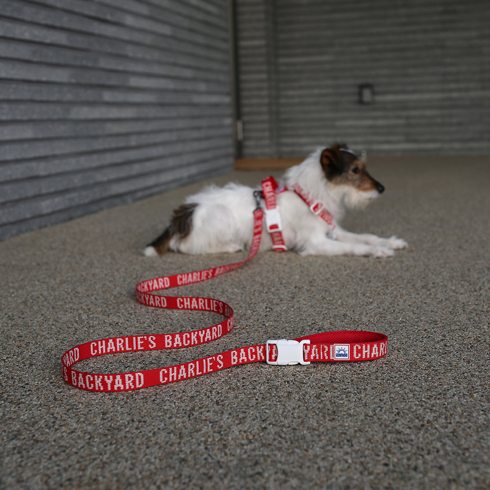 Charlie's Backyard Trip Leash