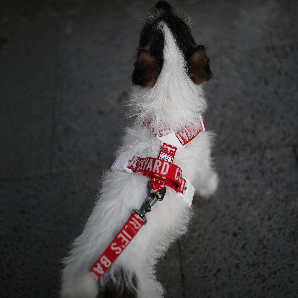 Charlie's Backyard Trip Leash