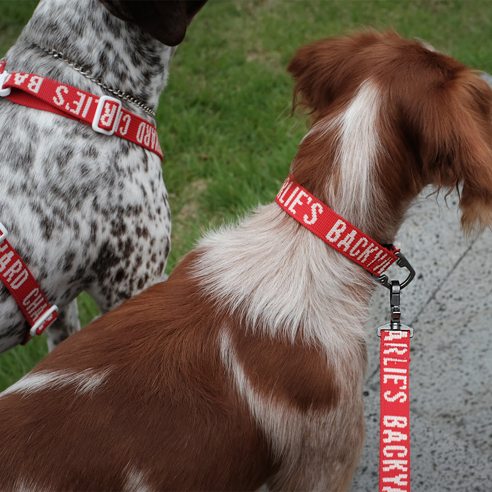 Charlie's Backyard Trip Leash