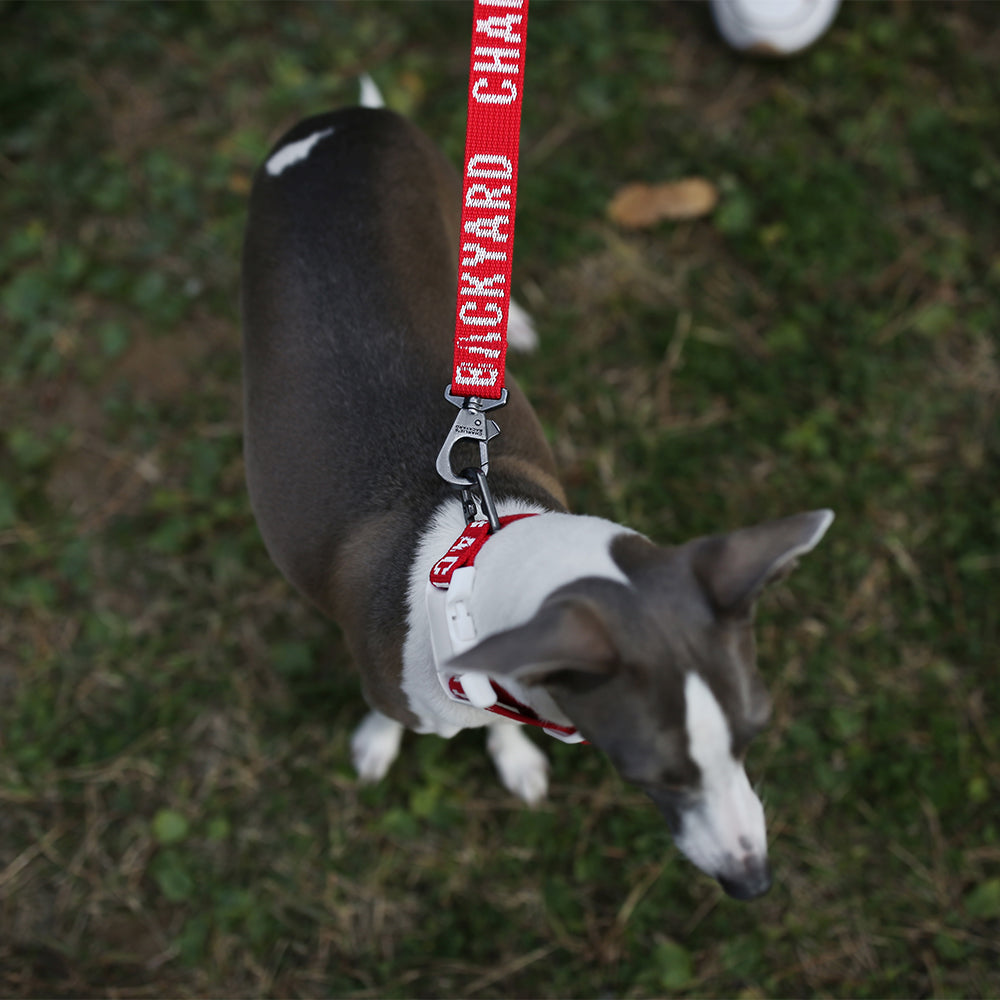 Charlie's Backyard Trip Leash