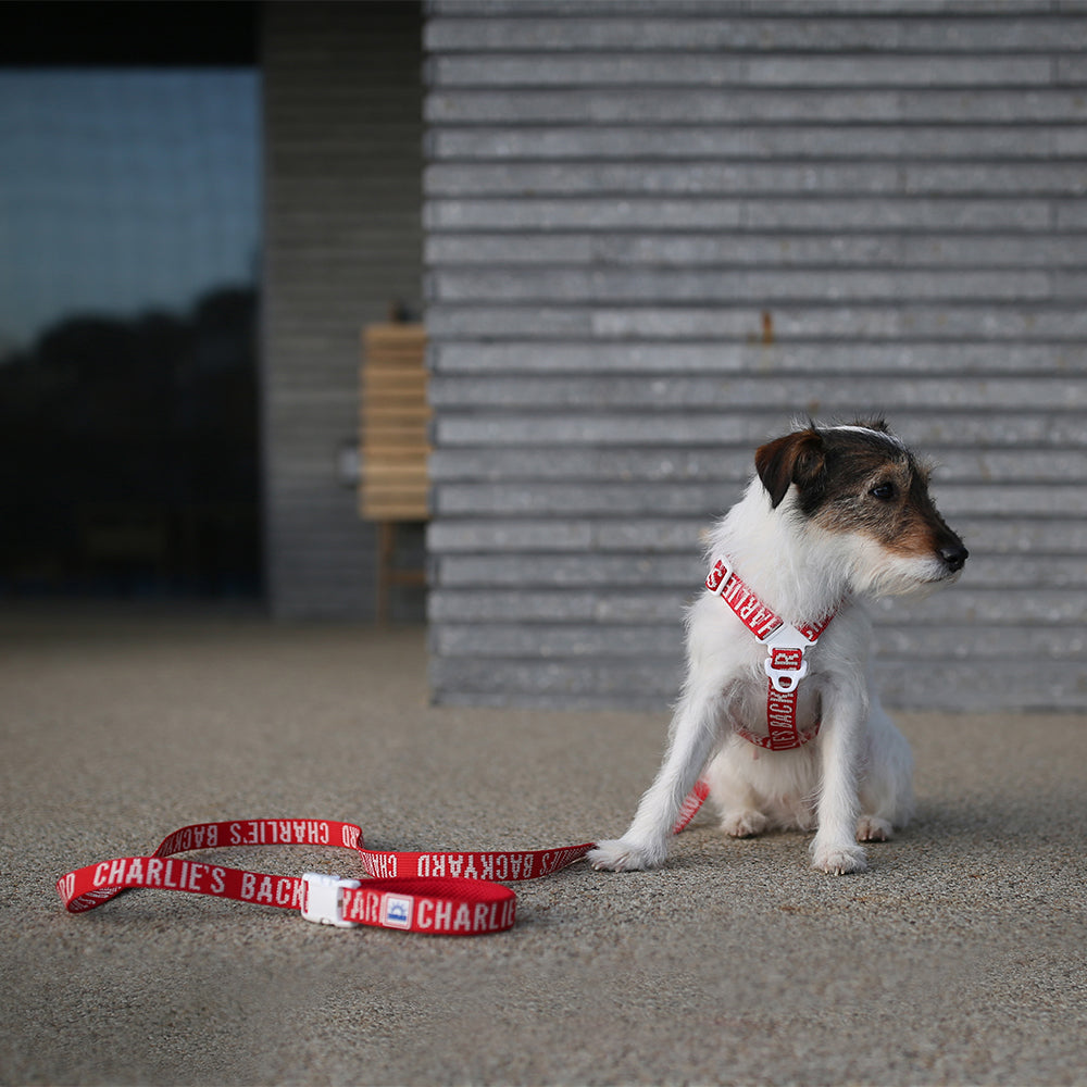 Charlie's Backyard Trip Harness (Red)