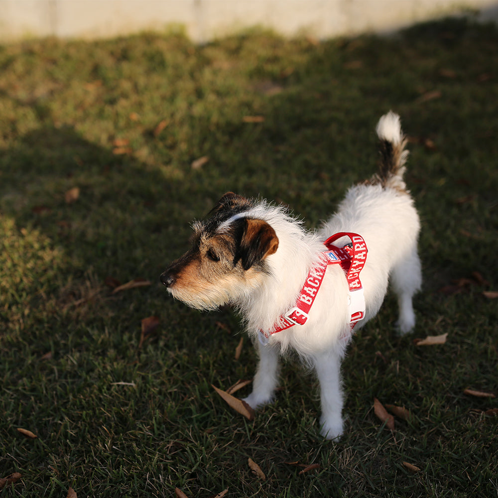 Charlie's Backyard Trip Harness (Red)