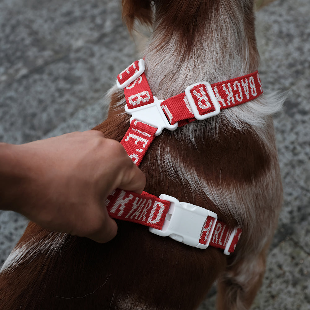 Charlie's Backyard Trip Harness (Red)