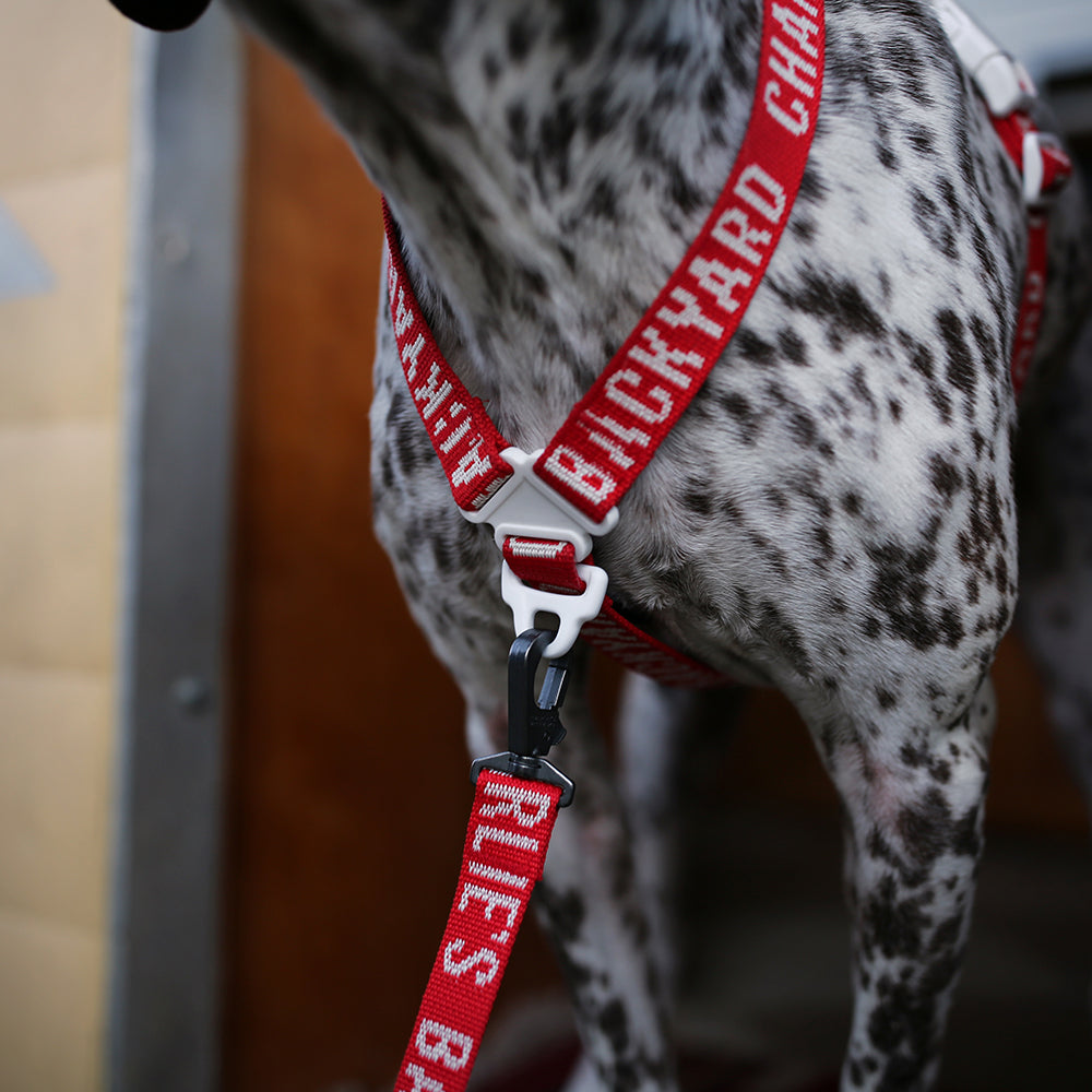 Charlie's Backyard Trip Harness (Red)