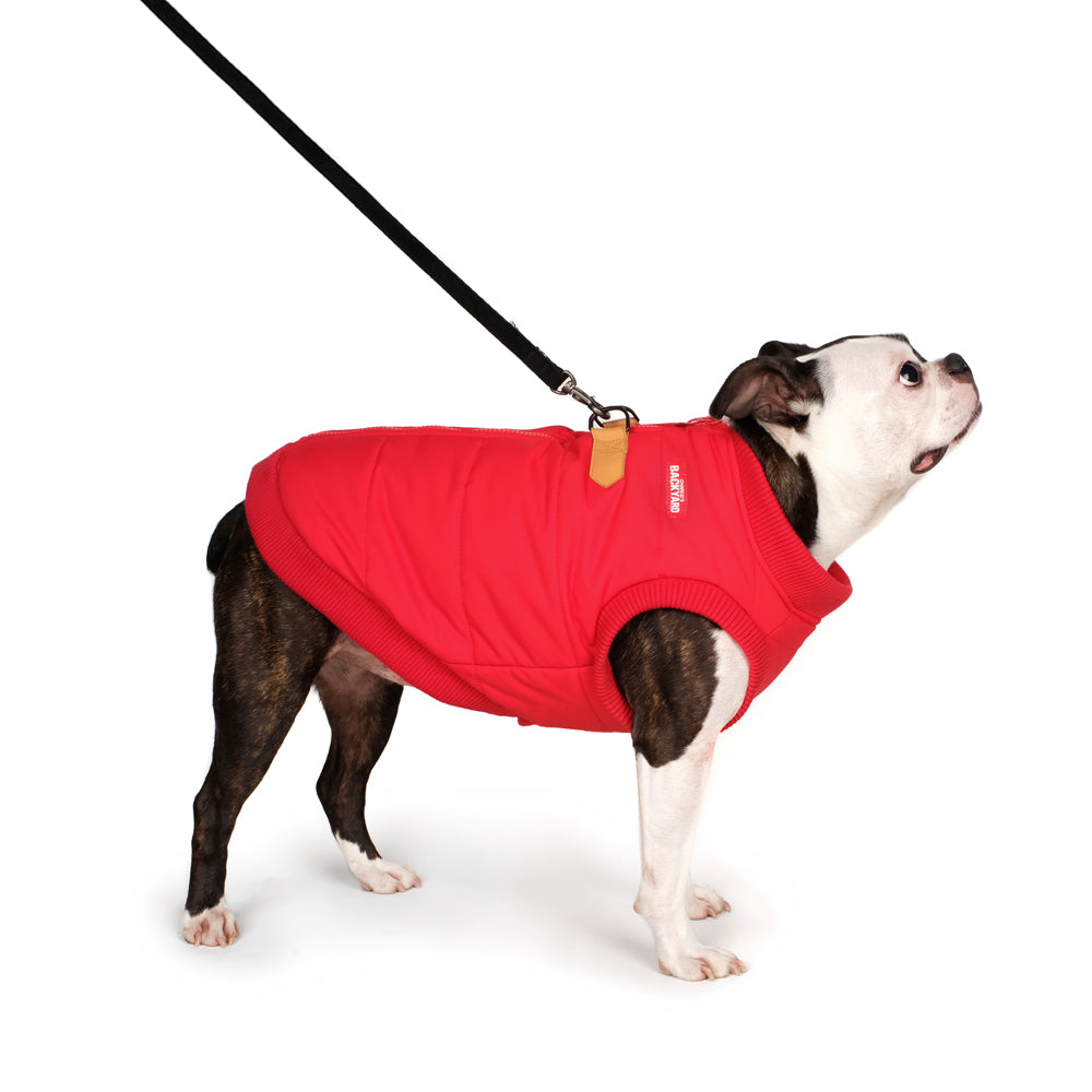 HARNESS JACKET - RED