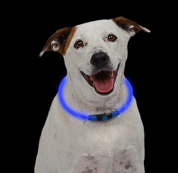 Dog Collar Light