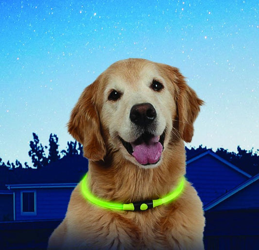 Dog Collar Light