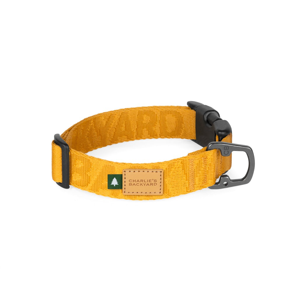 Charlie's Backyard TOWN BASIC COLLAR / YELLOW