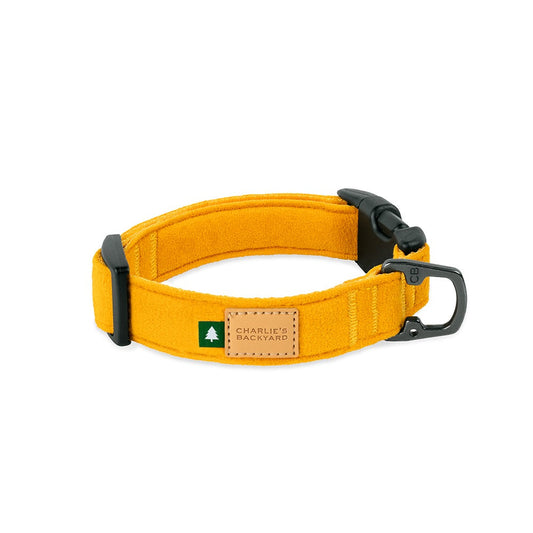 Charlie's Backyard TOWN COLLAR / YELLOW