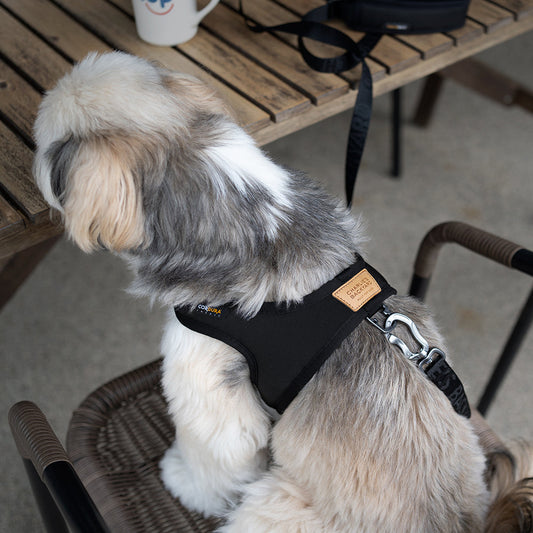 Charlie's Backyard TOWN CORDURA® HARNESS / BLACK