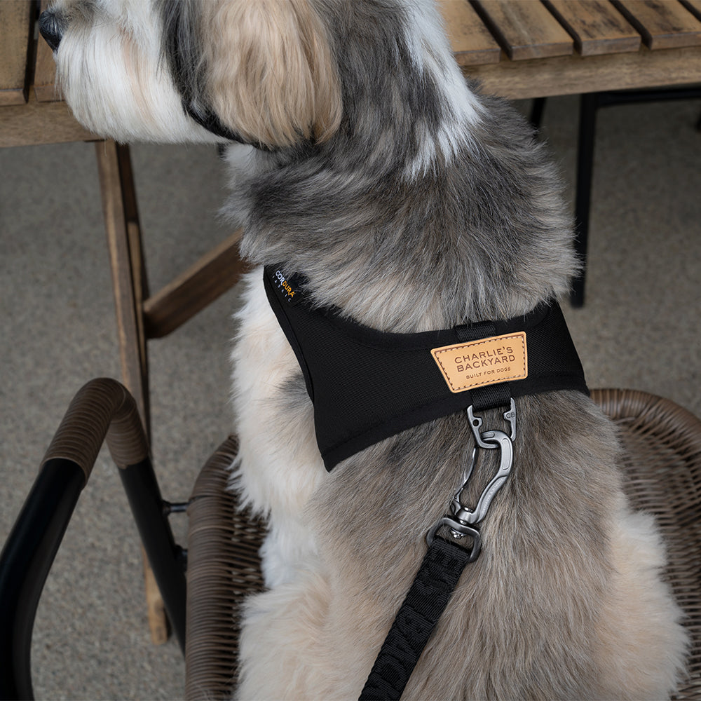 Charlie's Backyard TOWN CORDURA® HARNESS / BLACK