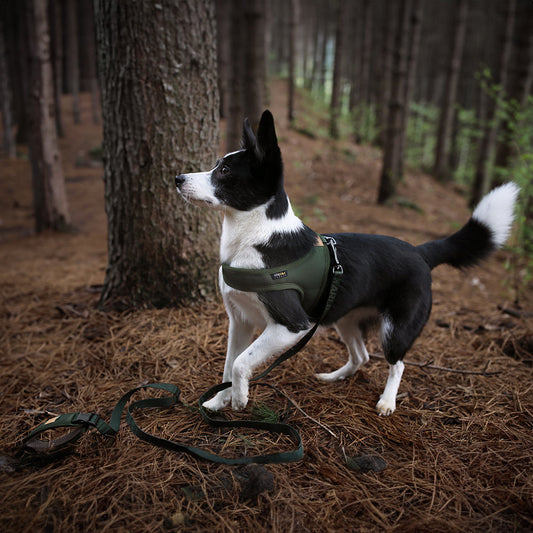 Charlie's Backyard TOWN CORDURA® HARNESS / KHAKI