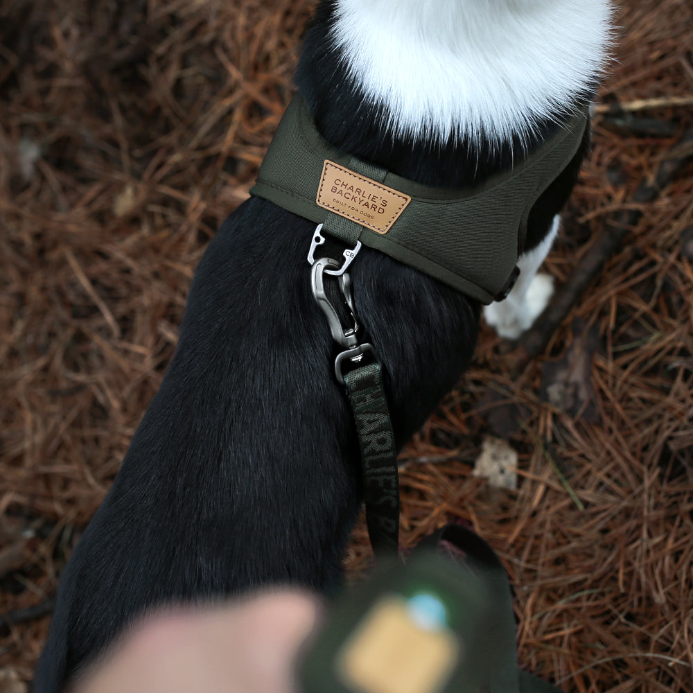 Charlie's Backyard TOWN CORDURA® LEASH / KHAKI