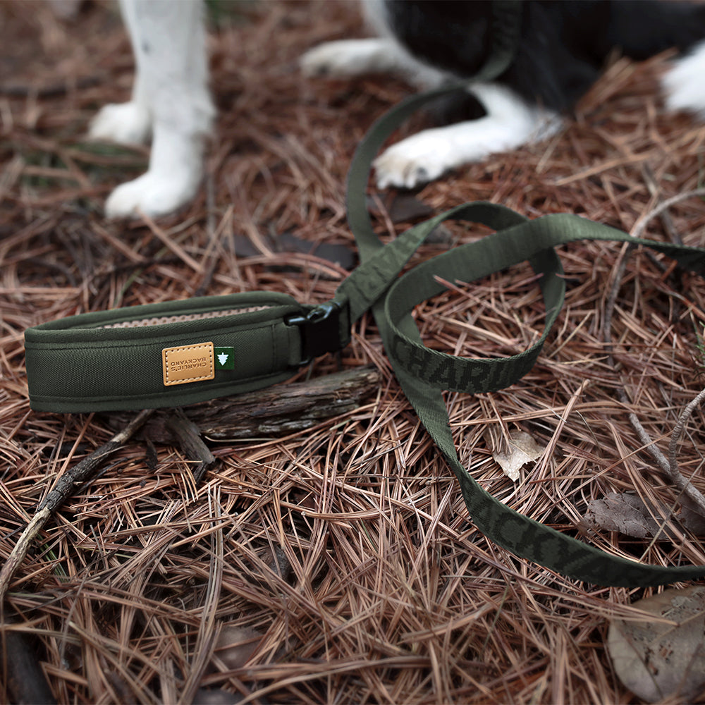 Charlie's Backyard TOWN CORDURA® LEASH / KHAKI