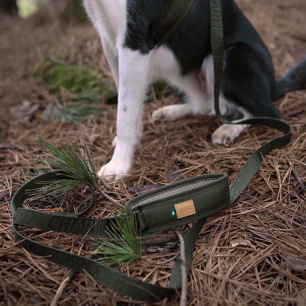 Charlie's Backyard TOWN CORDURA® LEASH / KHAKI