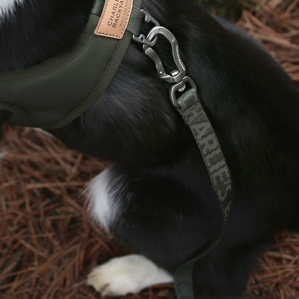 Charlie's Backyard TOWN CORDURA® LEASH / KHAKI