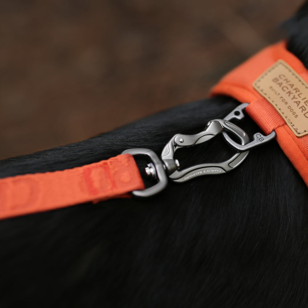 Charlie's Backyard TOWN CORDURA® LEASH / ORANGE