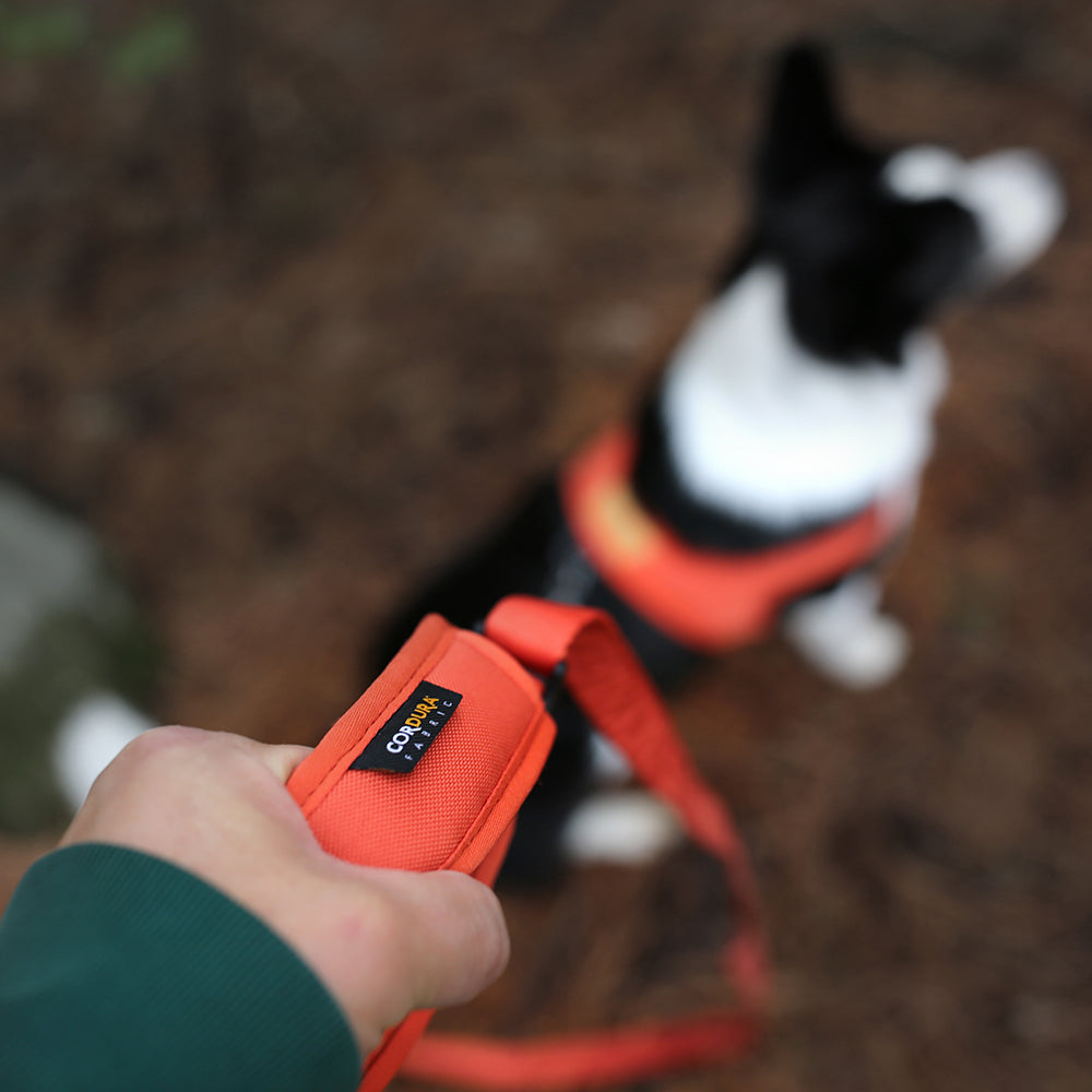 Charlie's Backyard TOWN CORDURA® LEASH / ORANGE