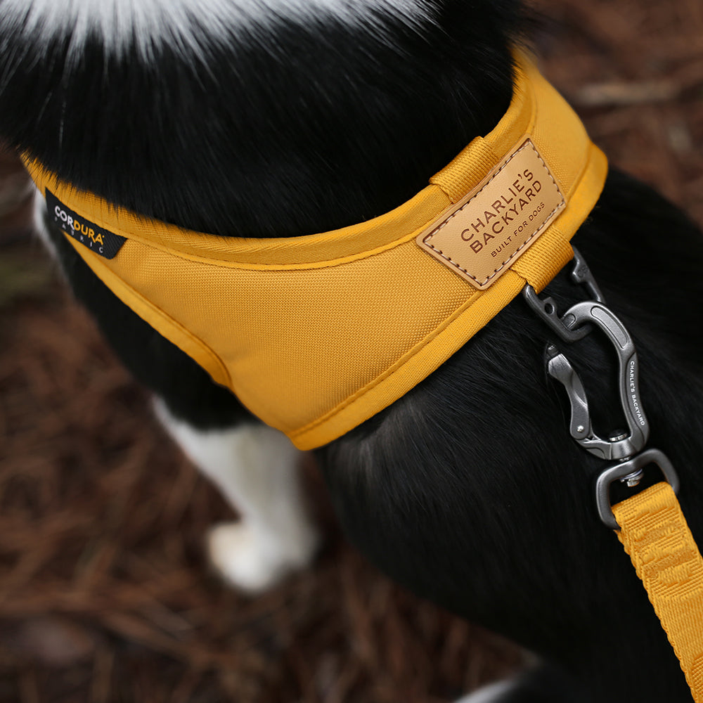 Charlie's Backyard TOWN CORDURA® LEASH / YELLOW