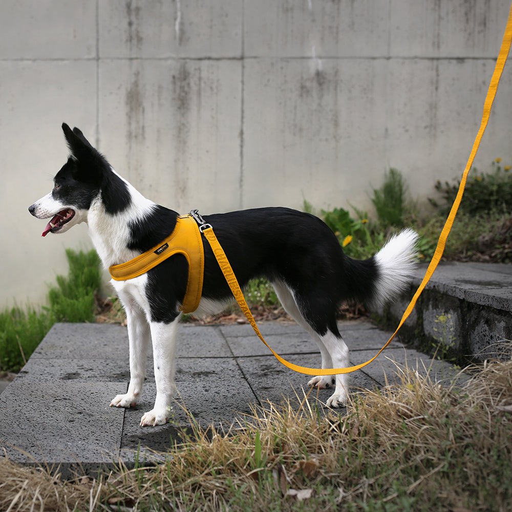 Charlie's Backyard TOWN CORDURA® LEASH / YELLOW