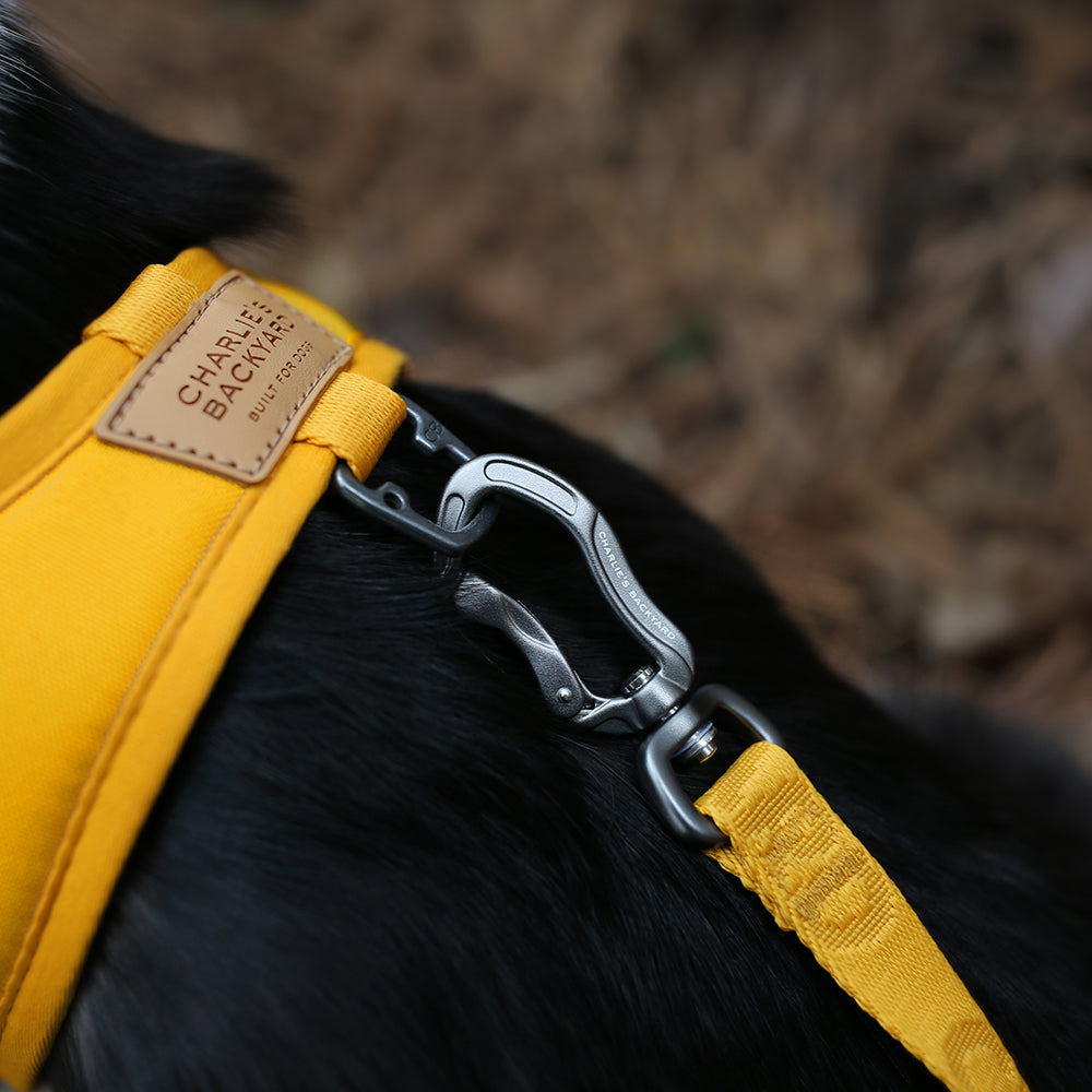 Charlie's Backyard TOWN CORDURA® LONG LEASH / YELLOW