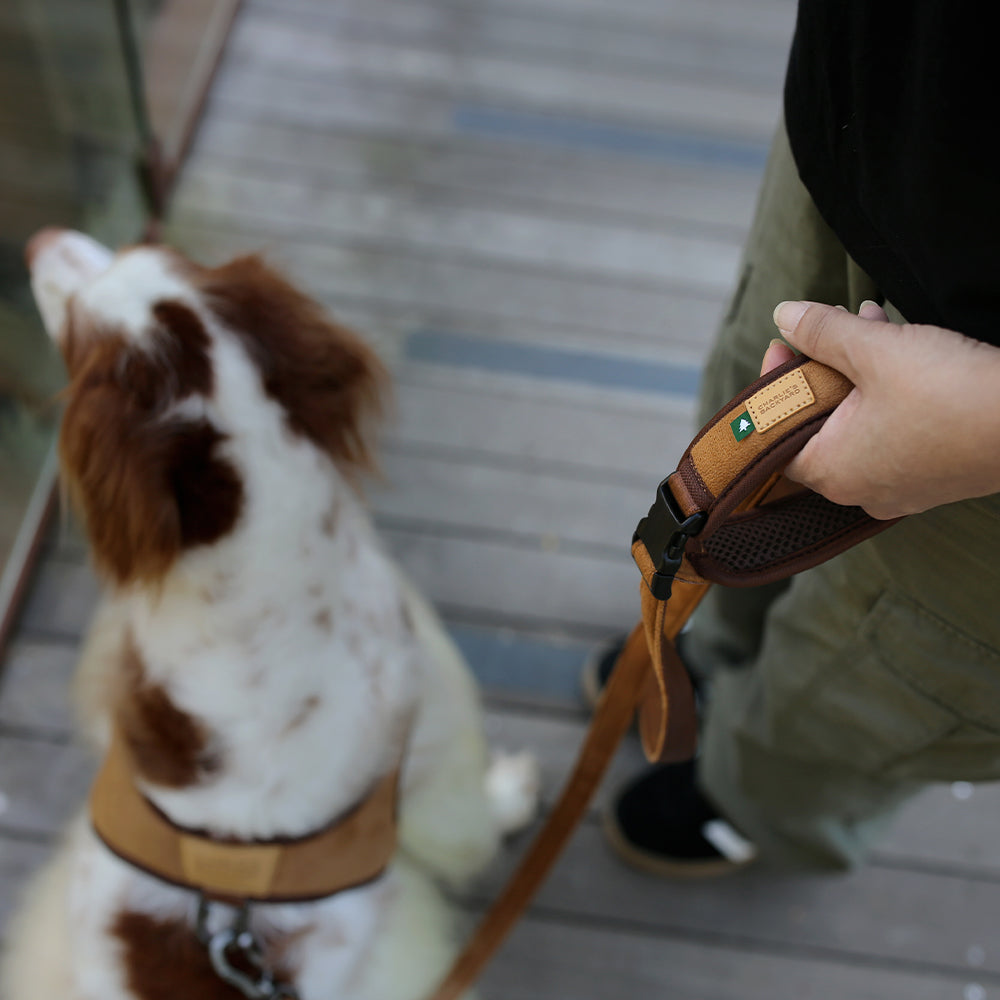 Charlie's Backyard TOWN LEASH / BROWN