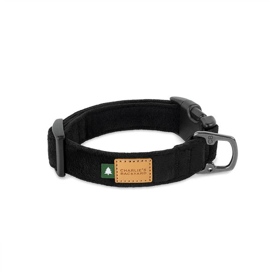 Charlie's Backyard TOWN COLLAR / BLACK