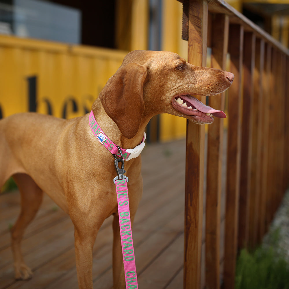 Charlie's Backyard Trip Collar (Pink)