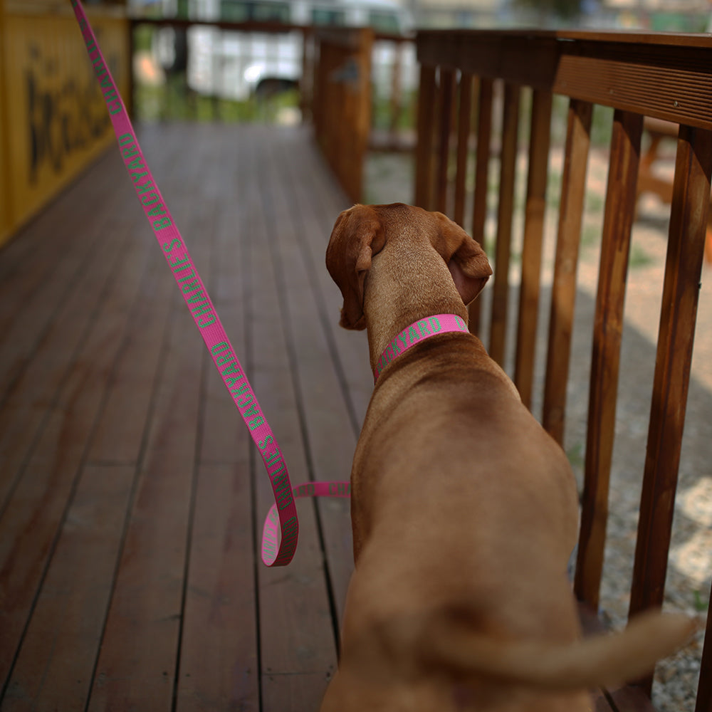 Charlie's Backyard Trip Collar (Pink)