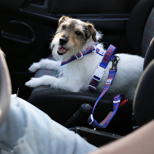 Charlie's Backyard TRIP SEAT BELT / BLUE