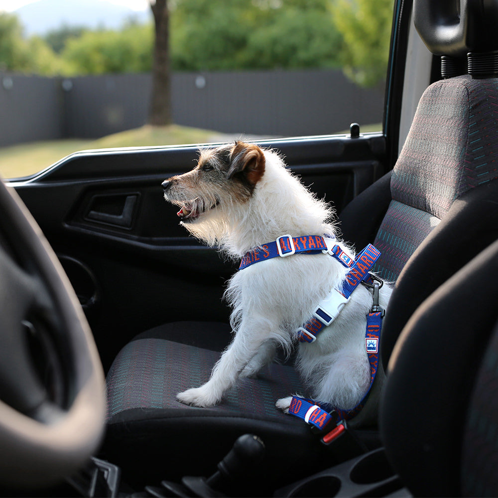 Charlie's Backyard TRIP SEAT BELT / BLUE