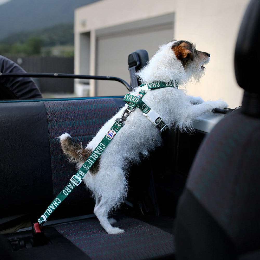 Charlie's Backyard TRIP SEAT BELT / GREEN