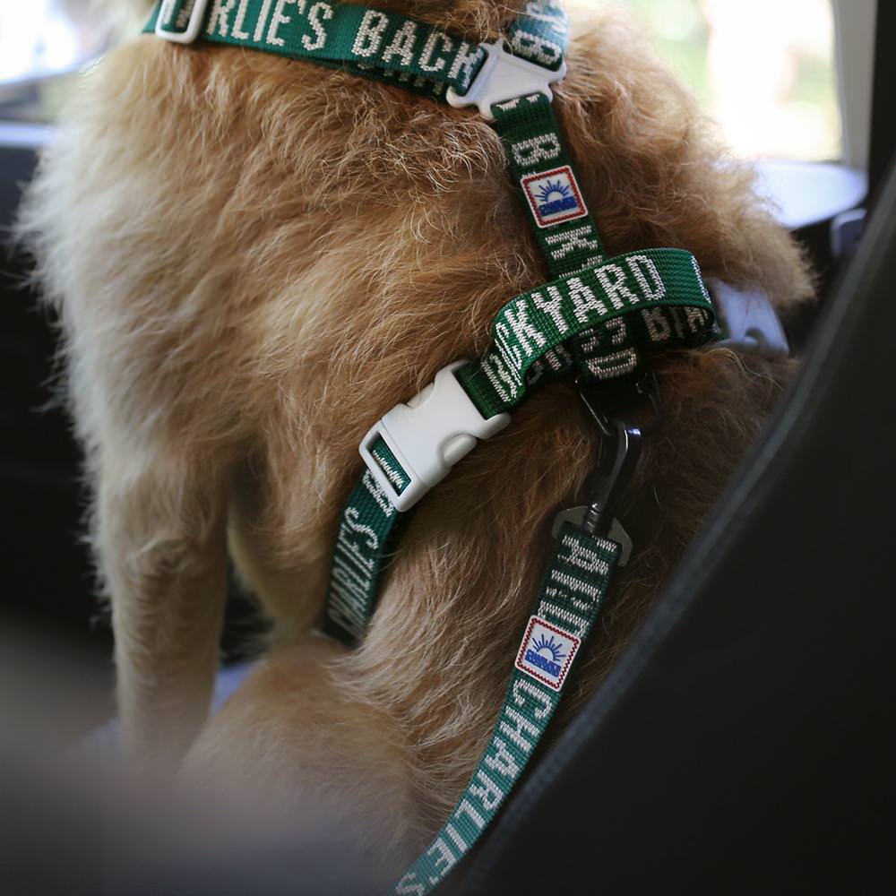 Charlie's Backyard TRIP SEAT BELT / GREEN