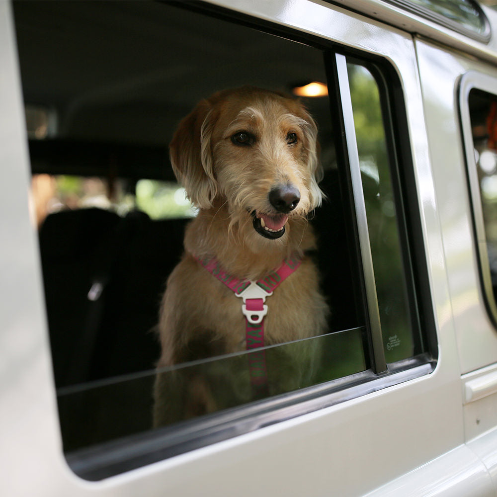 Charlie's Backyard TRIP SEAT BELT / PINK