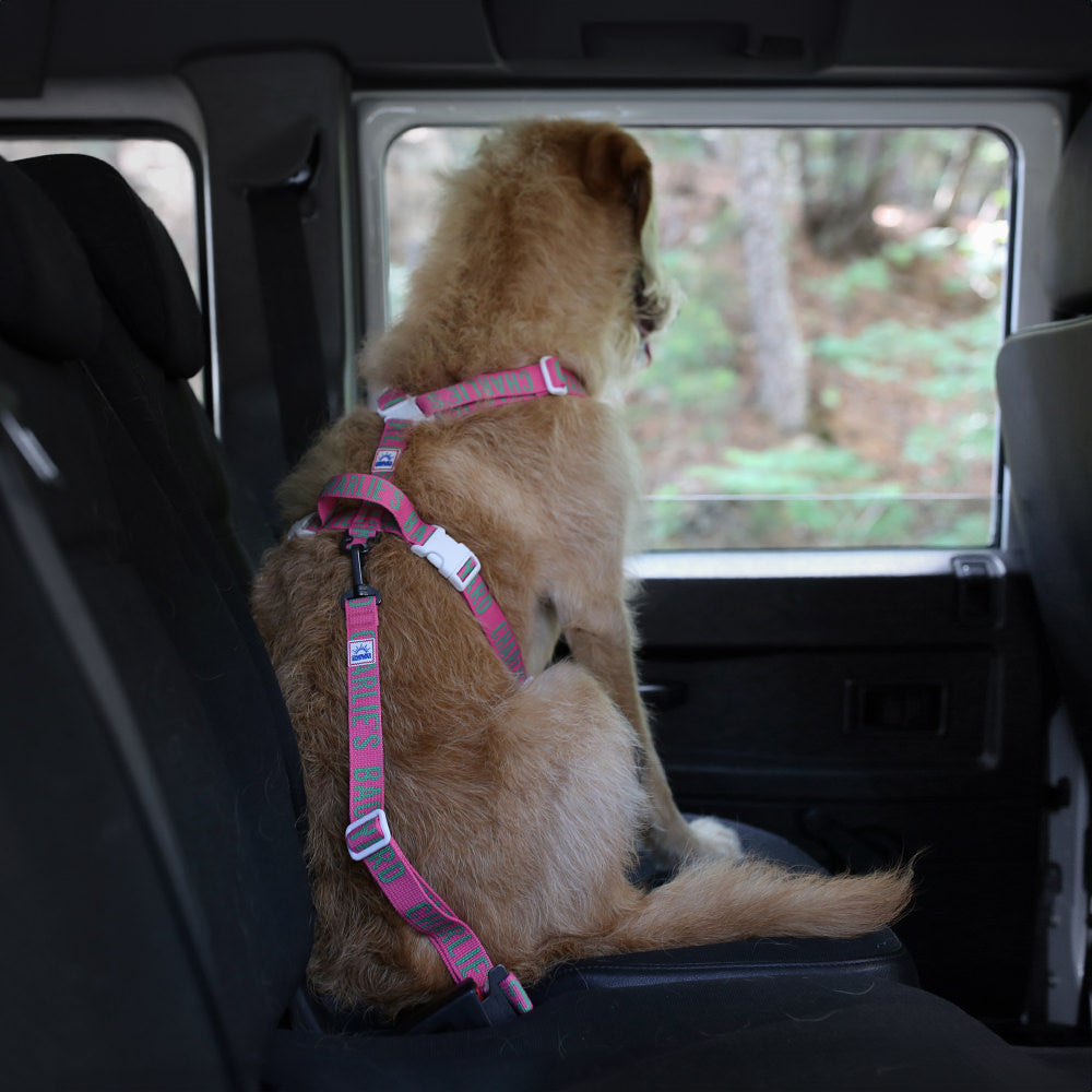 Charlie's Backyard TRIP SEAT BELT / PINK