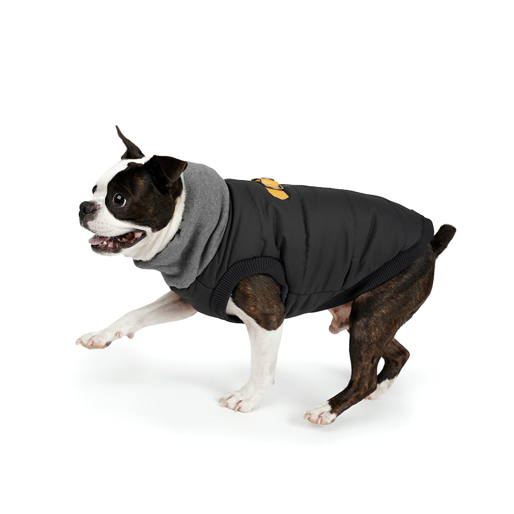 WARM UP HARNESS JACKET - BLACK