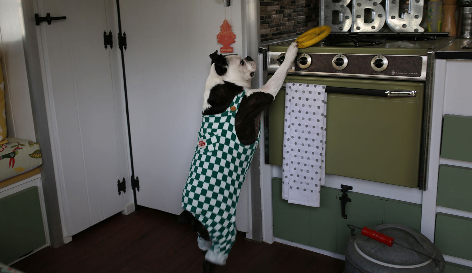 Pet Patrol Premium Pet Store Philippines