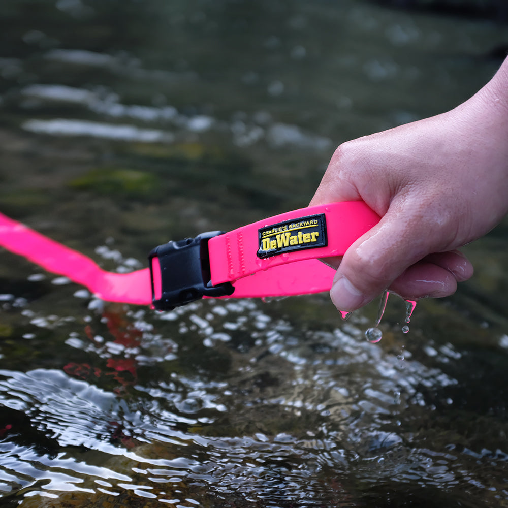 DeWater LEASH