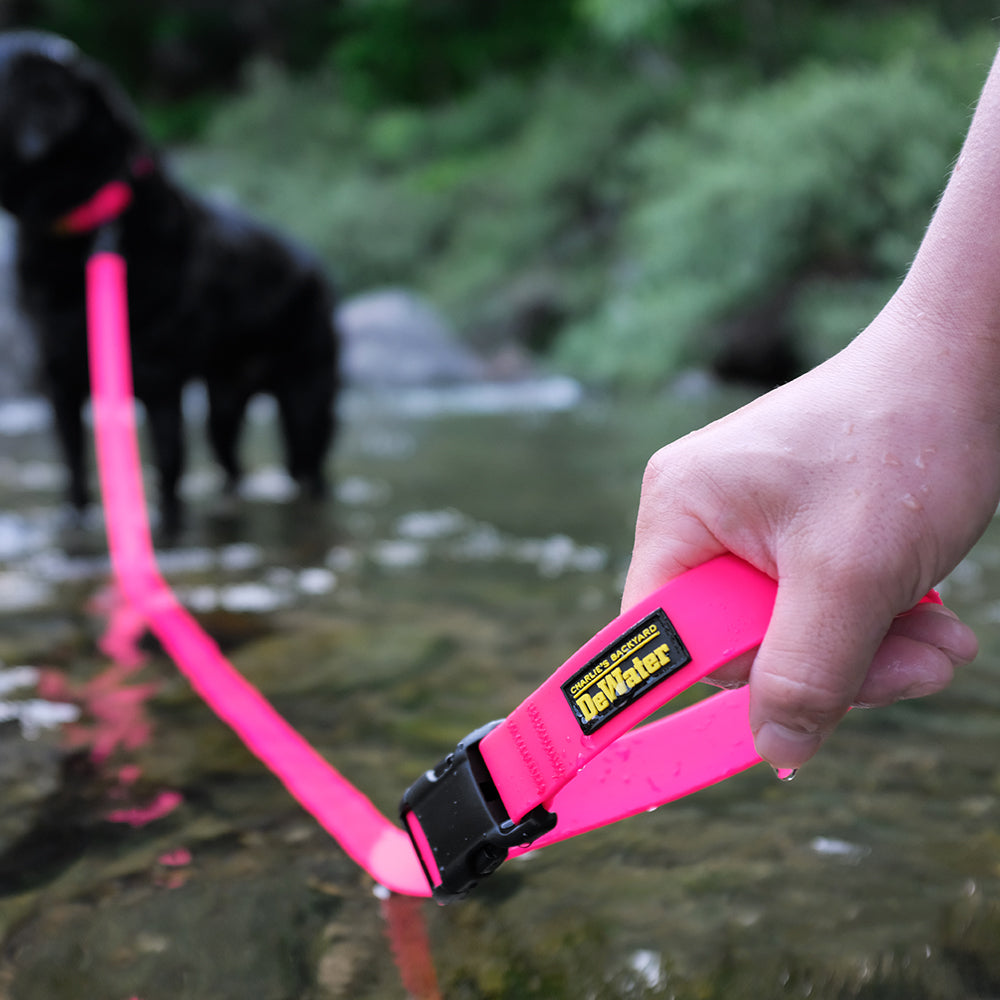 DeWater LEASH